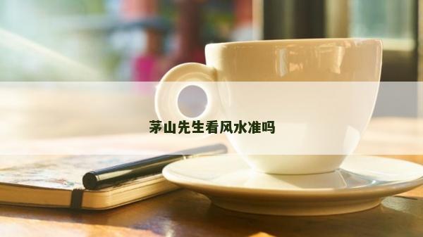 茅山先生看风水准吗