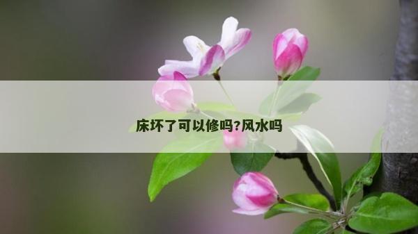 床坏了可以修吗?风水吗
