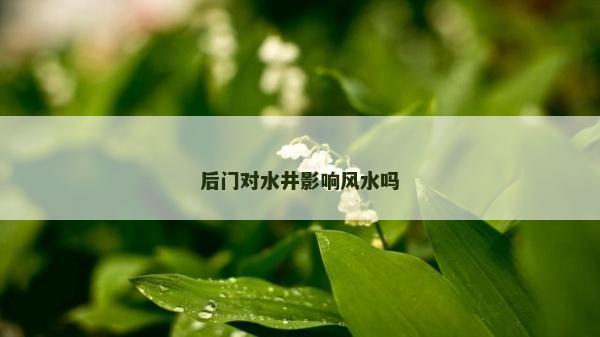后门对水井影响风水吗