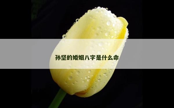 孙坚的婚姻八字是什么命