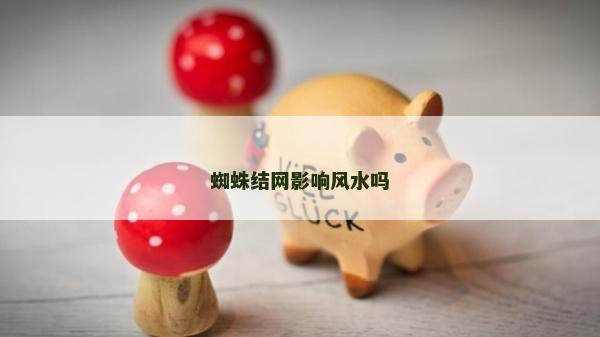 蜘蛛结网影响风水吗