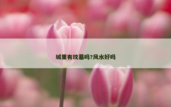 城里有坟墓吗?风水好吗