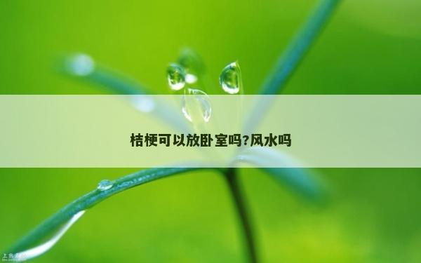 桔梗可以放卧室吗?风水吗