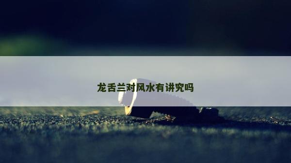 龙舌兰对风水有讲究吗