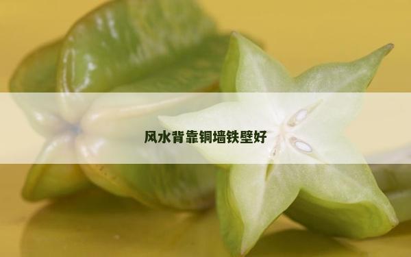 风水背靠铜墙铁壁好