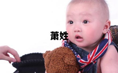 萧姓取名有新意的男宝宝名字