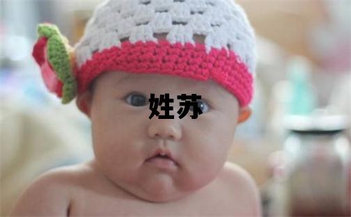 姓苏叫什么名字好 姓苏的男孩有智慧才气的名字