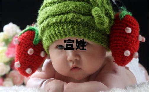 宣姓有诗意的女孩名字