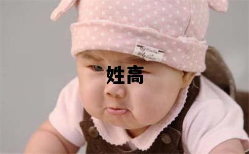 姓高叫什么名字好 姓高的男孩洋气的名字