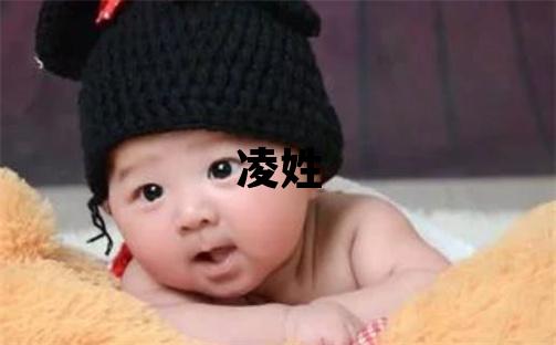 凌姓有涵养的男宝宝名字