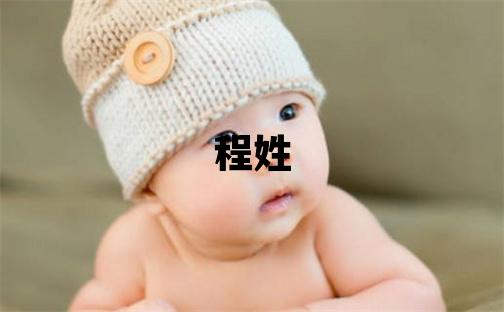 程姓有智慧才气的男孩名字,取什么名字好