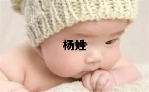 杨姓有创意的男宝宝名字