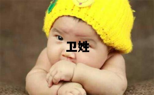 卫姓冷门独特的男孩名字