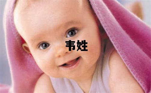 韦姓优美的男宝宝名字