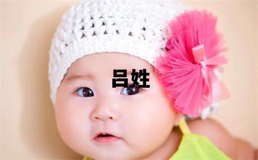 吕姓大气文雅的女宝宝名字