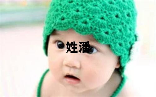 姓潘叫什么名字好 姓潘的男孩有灵气的名字