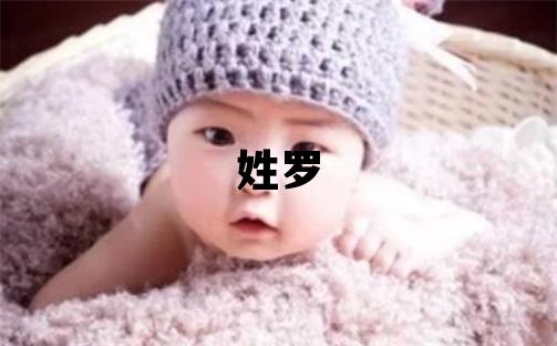 姓罗叫什么名字好 姓罗的男孩有含义的名字