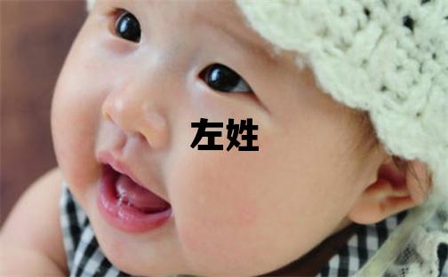 左姓有智慧才气的女孩名字