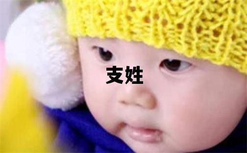 支姓取名优美的男宝宝名字