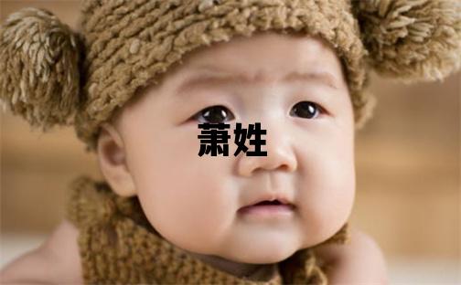 萧姓有涵养的男孩名字,取什么名字好