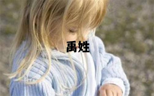 禹姓有灵气的男宝宝名字