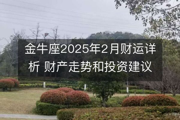 金牛座2025年2月财运详析 财产走势和投资建议